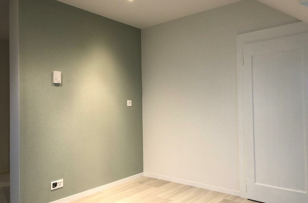 Peinture intérieur-extérieur